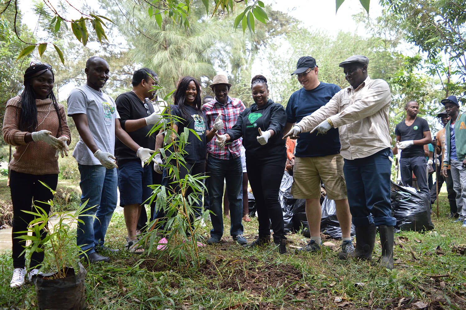 Ne touchez pas à nos forêts ! Ne levez pas l’interdiction d’exploitation des forêts publiques et communautaires au Kenya