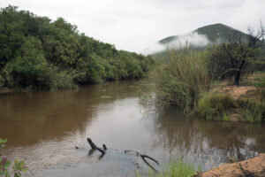 STOP à l’ÉCOCIDE de la rivière uMbilo