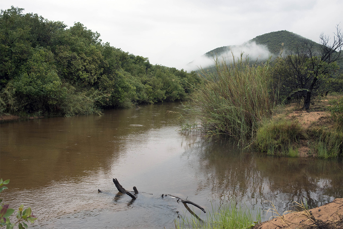 STOP the ECOCIDE of the uMbilo River